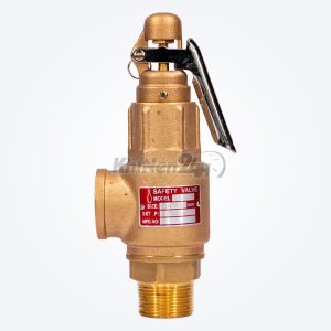 Van an toàn có tay gạt S10L-DN50 (phi 60mm)