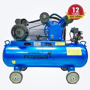 Máy nén khí dây đai Pegasus TM-V-0.17/8-120L