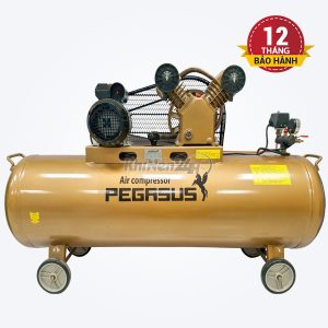 Máy nén khí dây đai Pegasus TM-V-0.25/12.5-120L