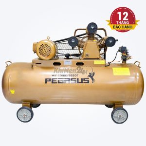 Máy nén khí dây đai Pegasus TM-W-0.36/8-230L (220V)