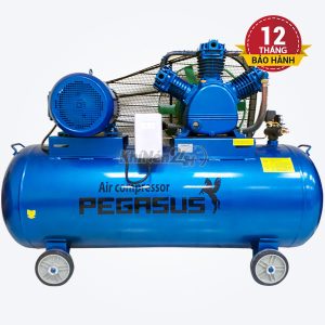 Máy nén khí dây đai Pegasus TM-W-0.67/8-500L