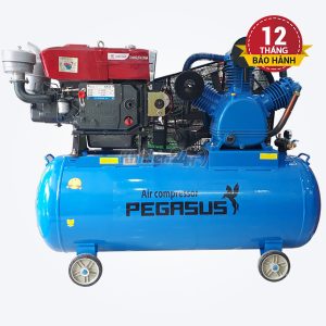 Máy nén khí đầu nổ chạy bằng dầu Diesel Pegasus TM-W-2.0/8-330L