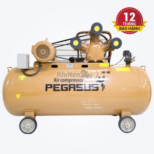 Máy nén khí dây đai Pegasus TM-W-2.0/8-500L