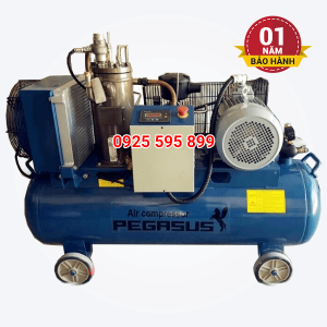 Máy nén khí trục vít Pegasus TMTV-15A (11kW - 15HP)